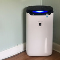 Installing an Air Purifier-Ionizer in Royal Palm Beach, Florida: What You Need to Know