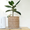 Air Purifiers vs. Air Ionizers: Which is Better for Clean Air?
