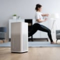Are Air Purifiers with Ionizers Safe? - An Expert's Perspective