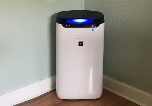 Installing an Air Purifier-Ionizer in Royal Palm Beach, Florida: What You Need to Know