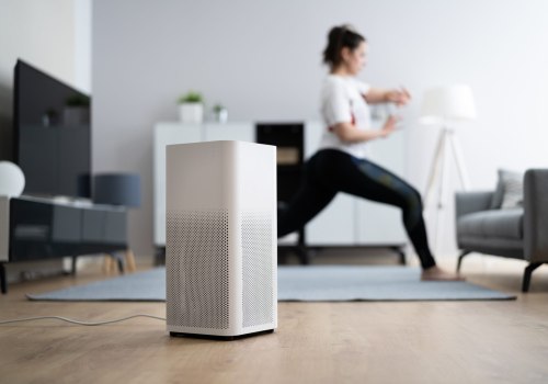 Are Air Purifiers with Ionizers Safe? - An Expert's Perspective